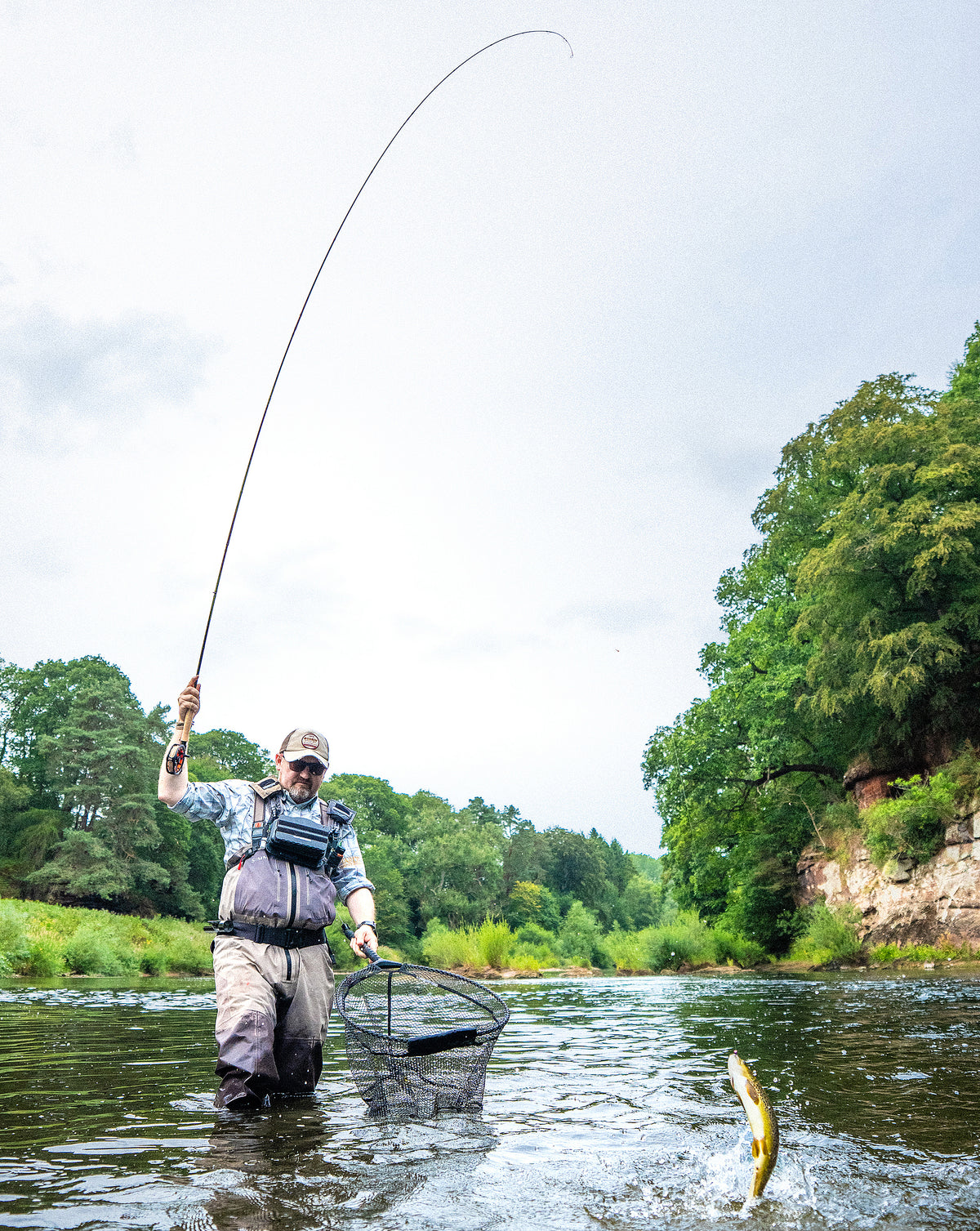 Angler landing a fish with a Hardy Tactus fly rod while wading in a river.